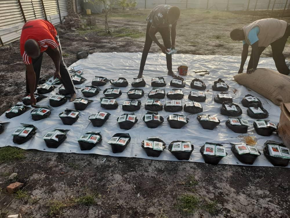 Female beneficiary receives seeds- photo courtesy by WOCO