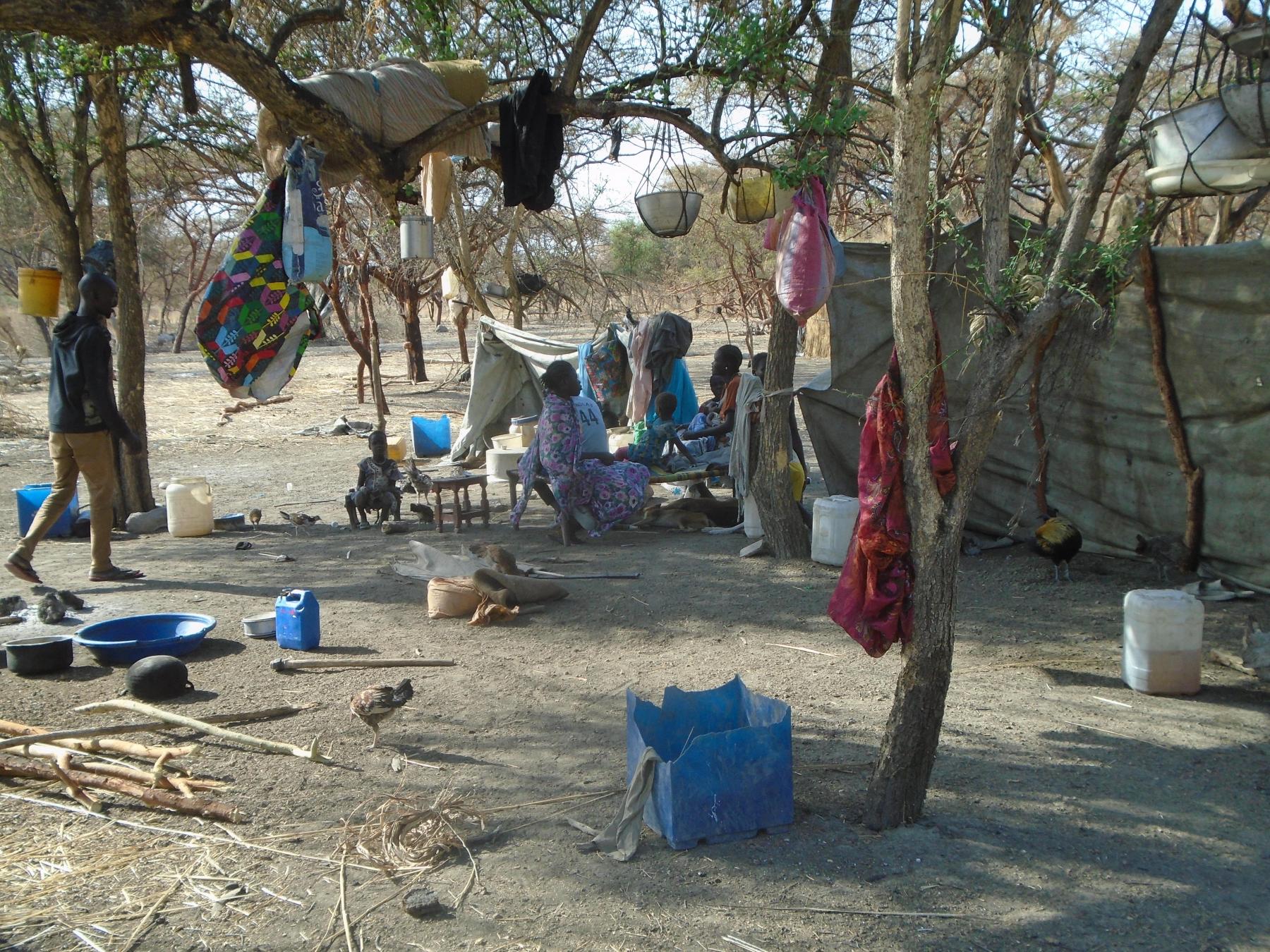 families relocated to high safe ground due to flood are under trees with no shelter 